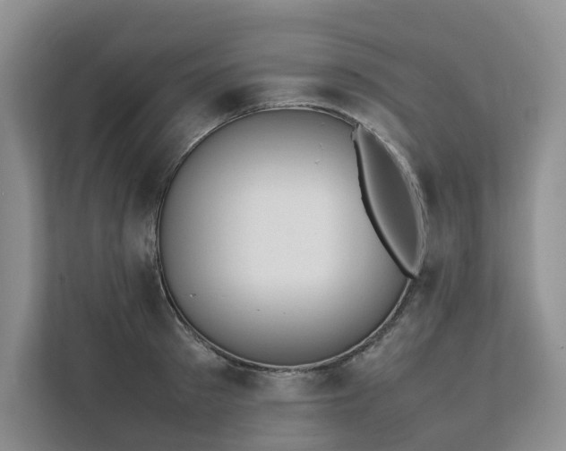 X0000111780897200907231120