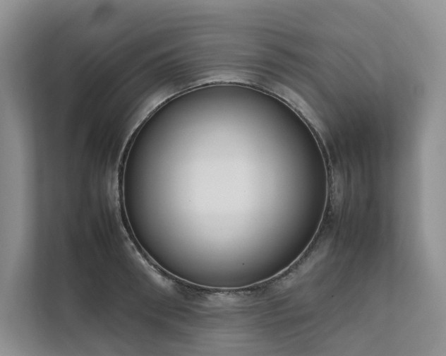X0000111780898200907231120