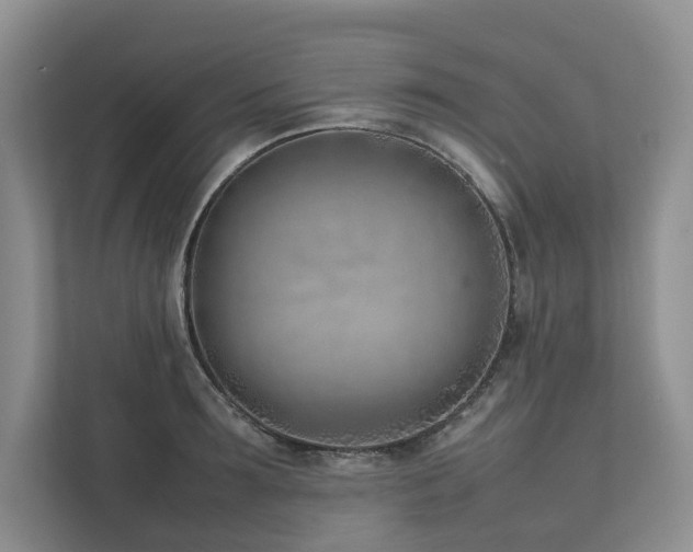 X0000111780899200907231120