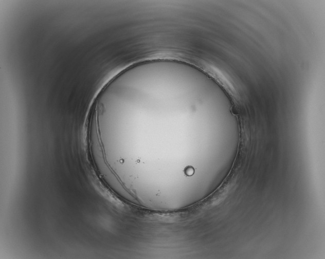 X0000111780900200907231120