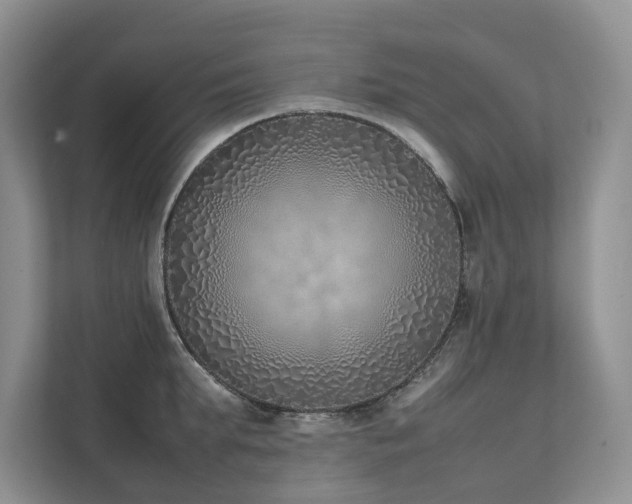 X0000111780903200907231120