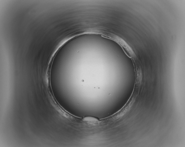 X0000111780908200907231120
