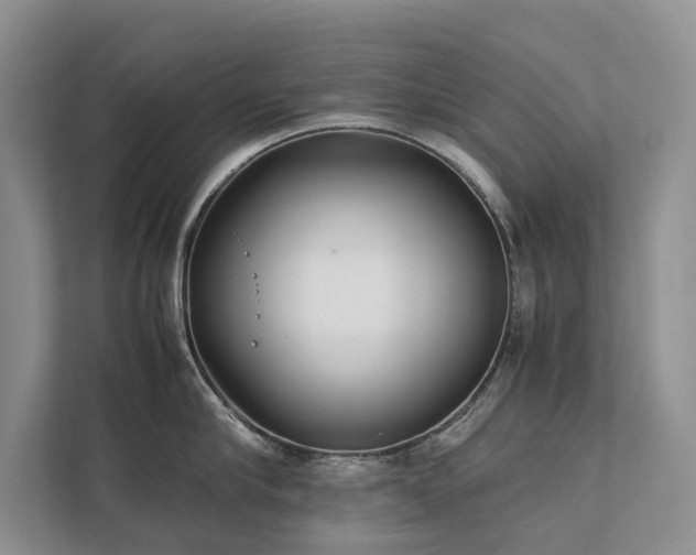 X0000111780910200907231120
