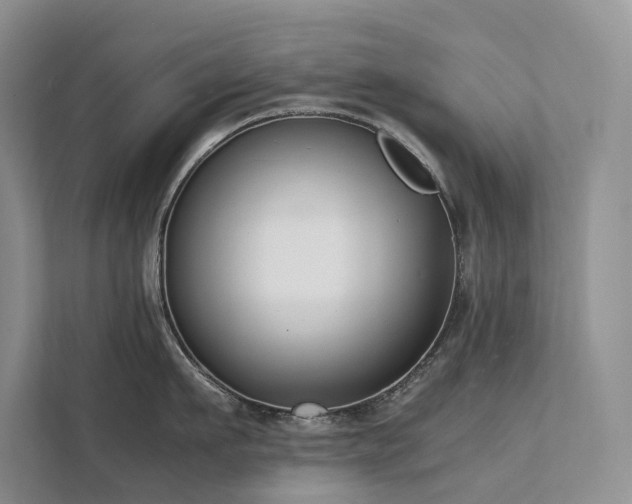 X0000111780911200907231120