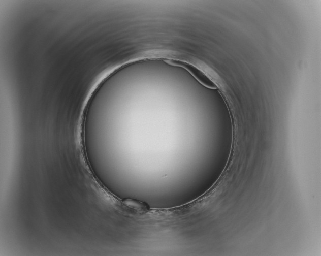 X0000111780912200907231120