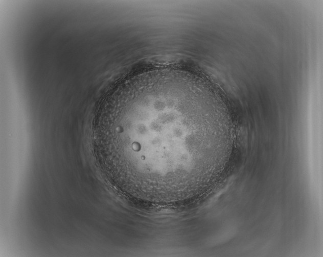 X0000111780913200907231119