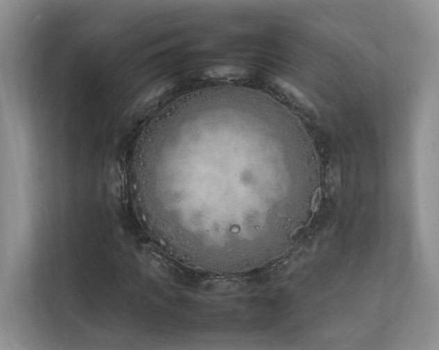 X0000111780917200907231120