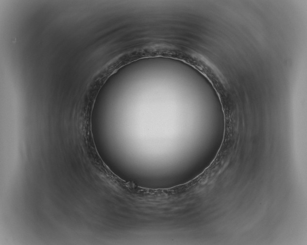 X0000111780919200907231120