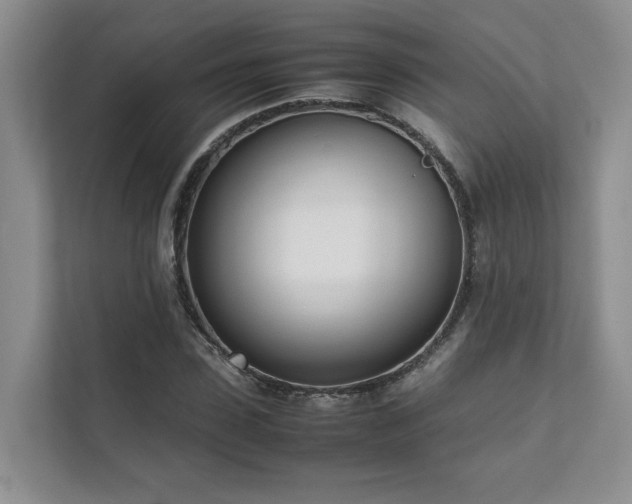 X0000111780923200907231120