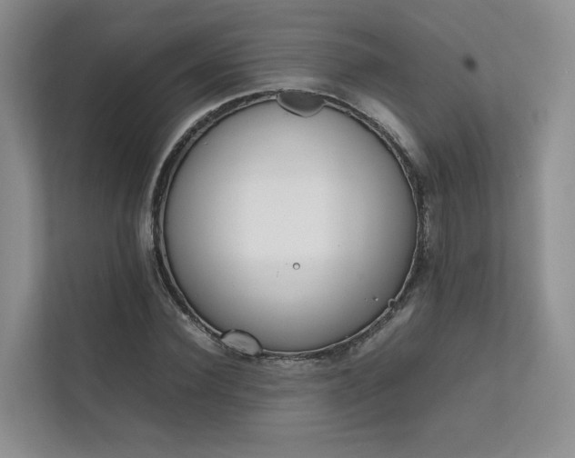 X0000111780924200907231120