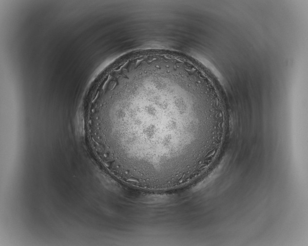 X0000111780925200907231120