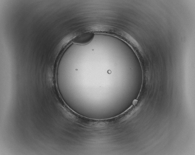 X0000111780930200907231120