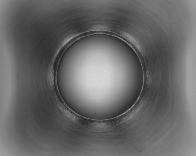 X0000111780931200907231120