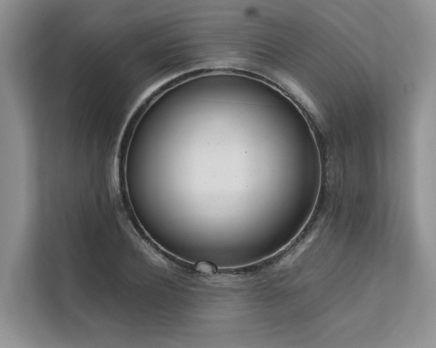 X0000111780932200907231120