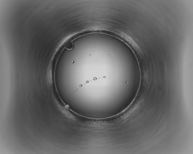 X0000111780934200907231120