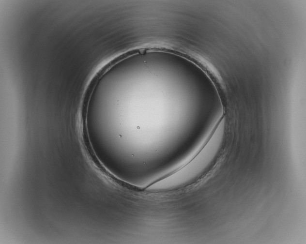 X0000111780936200907231120
