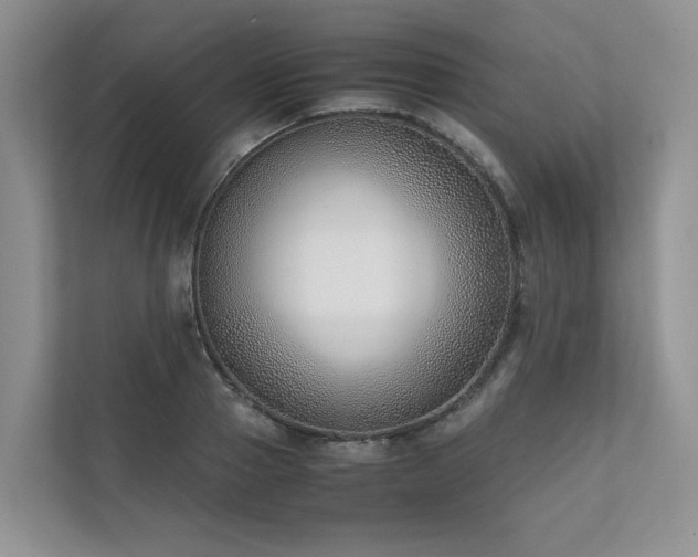 X0000111780937200907231120