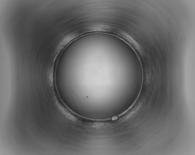 X0000111780938200907231120