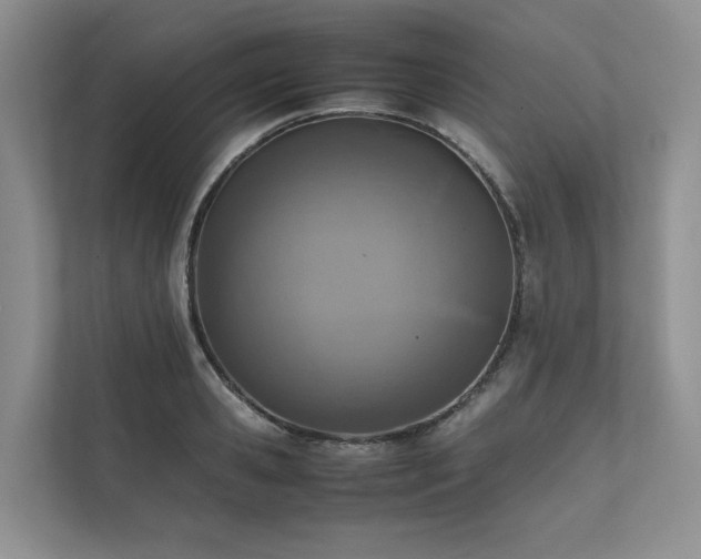 X0000111780941200907231120