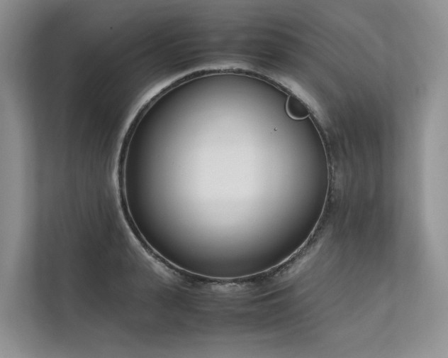 X0000111780943200907231120