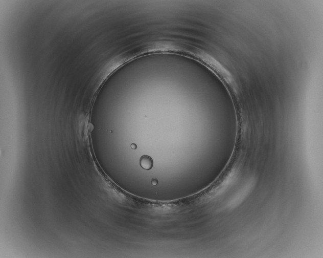 X0000111780945200907231120