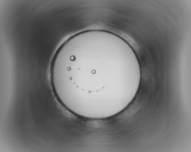 X0000111780950200907231120