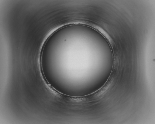 X0000111780951200907231120