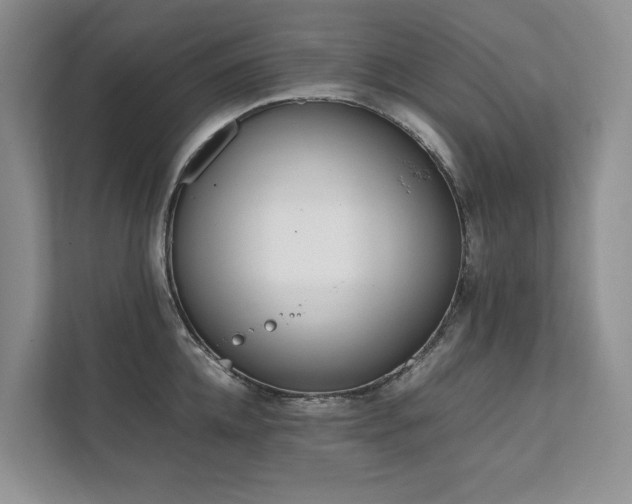 X0000111780952200907231120