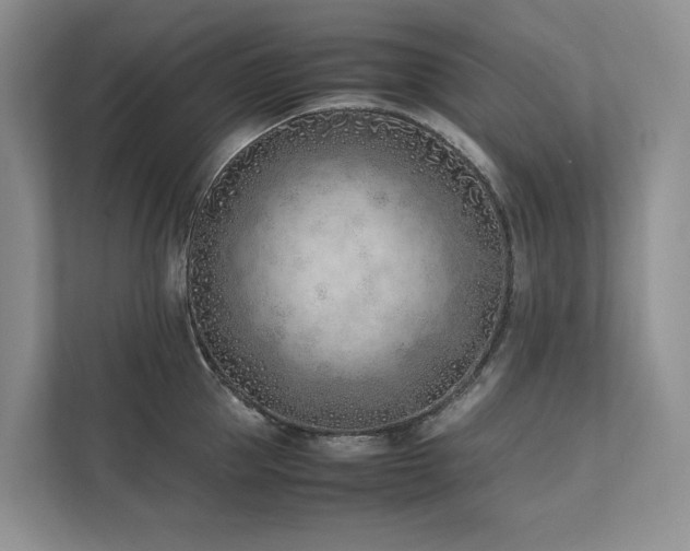 X0000111780953200907231120