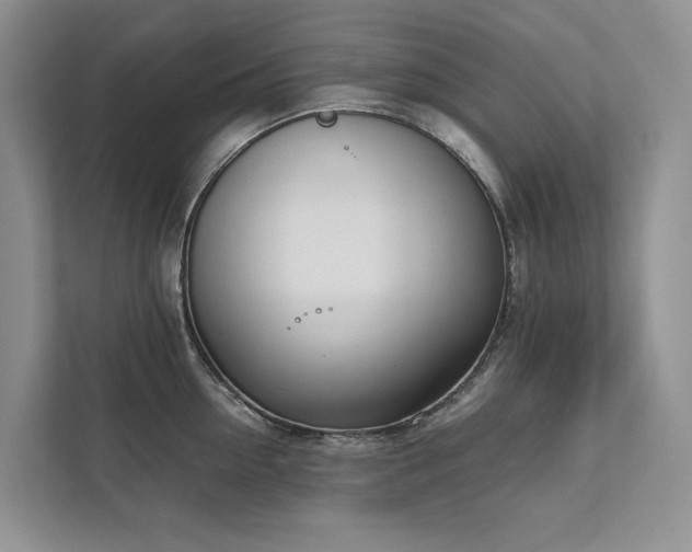 X0000111780954200907231120