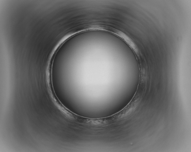 X0000111780955200907231120