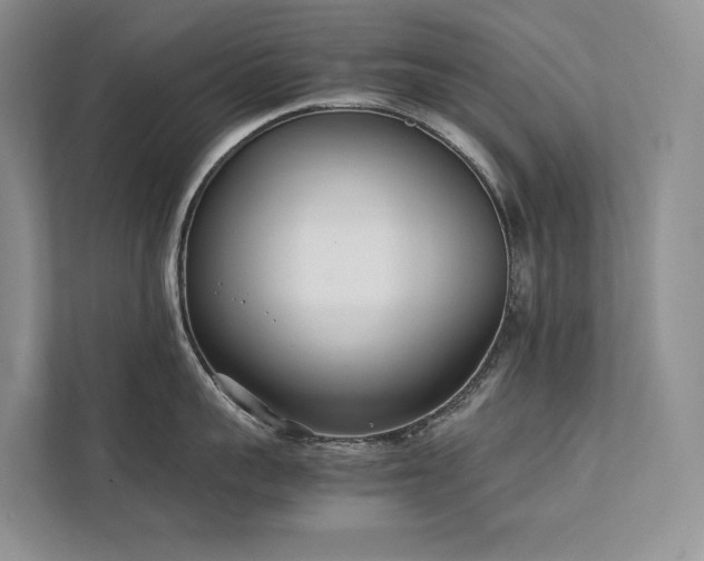 X0000111780959200907231120