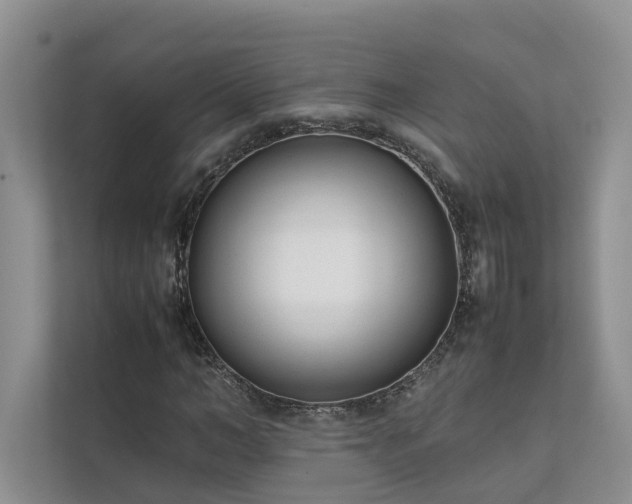 X0000111780966200907231119