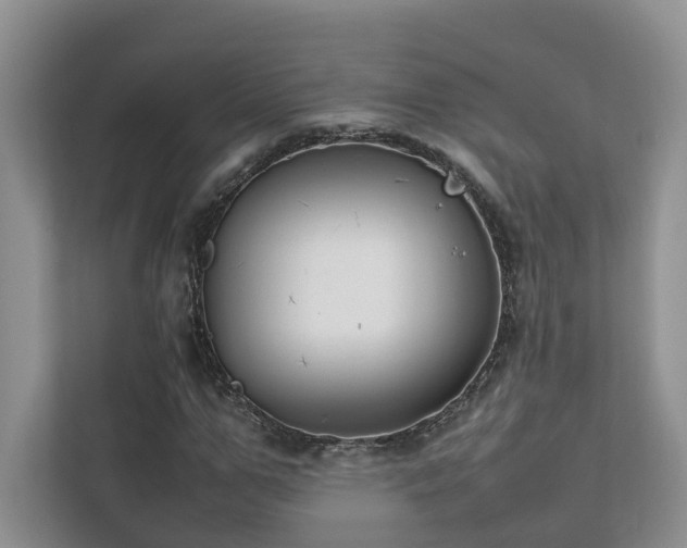X0000111780967200907231119