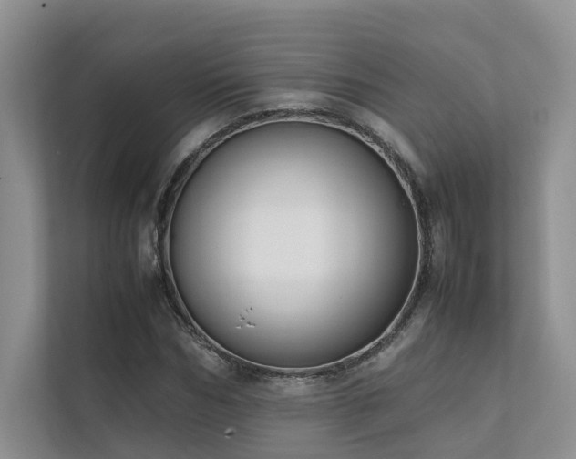 X0000111780970200907231119