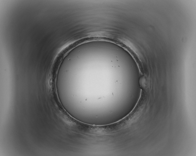 X0000111780971200907231119