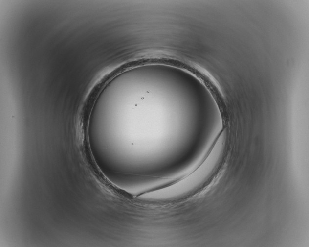 X0000111780973200907231119