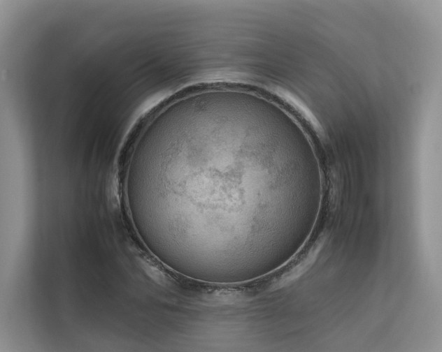 X0000111780974200907231119
