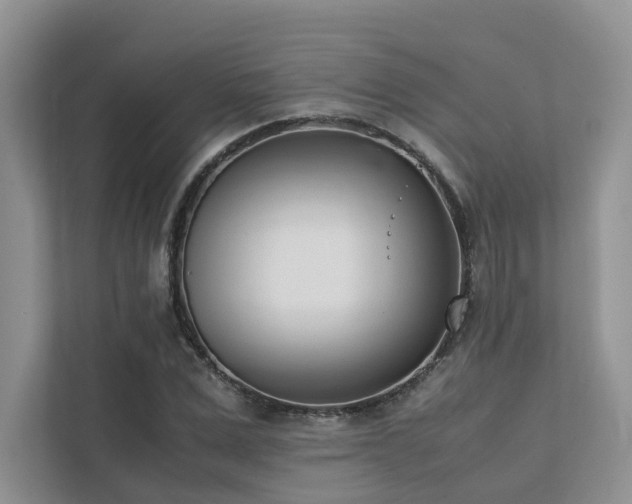 X0000111780975200907231119