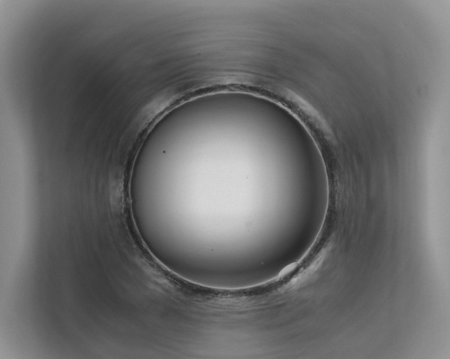 X0000111780977200907231119