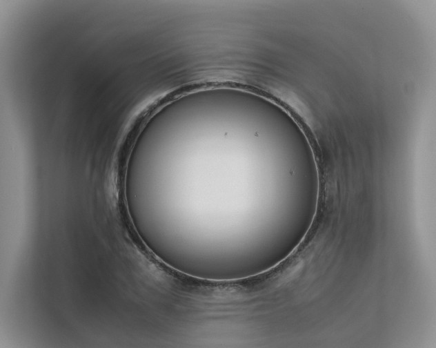 X0000111780979200907231119
