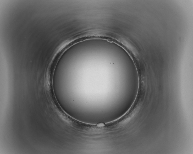 X0000111780981200907231119