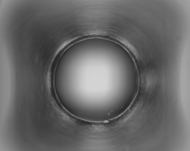 X0000111780983200907231119