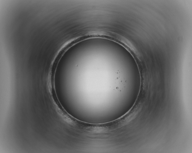 X0000111780984200907231119