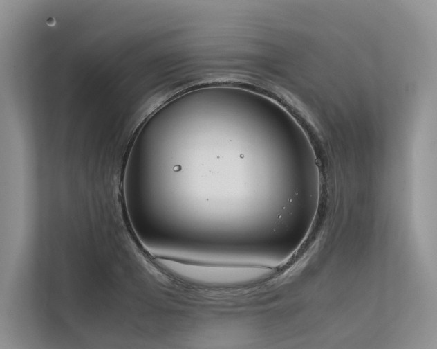 X0000111780985200907231119