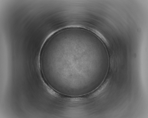 X0000111780988200907231119
