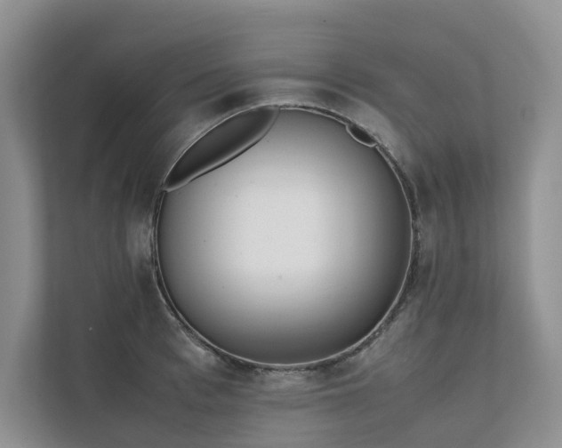 X0000111780993200907231119