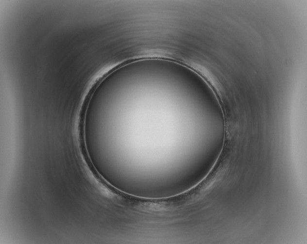 X0000111780995200907231119