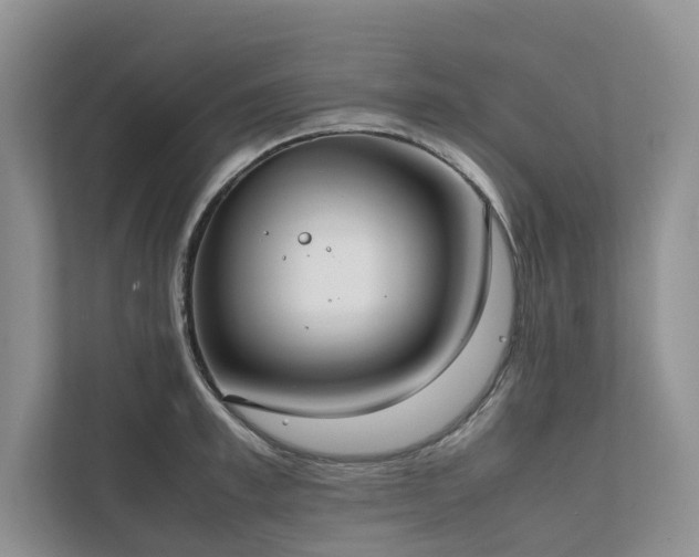 X0000111780997200907231119