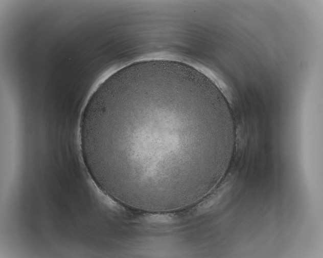 X0000111780998200907231119